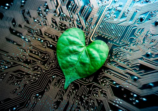 开云体育官网案例